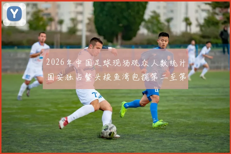 2026年中国足球现场观众人数统计国安独占鳌头梭鱼湾包揽第二至第七位