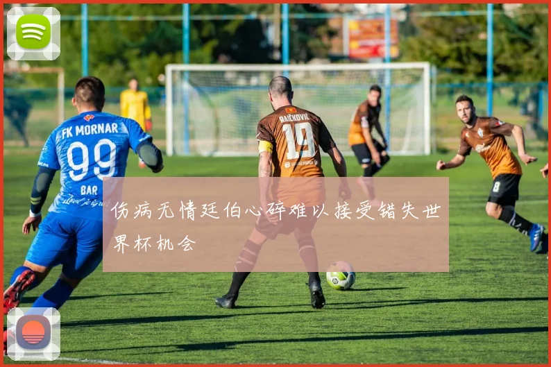 伤病无情廷伯心碎难以接受错失世界杯机会